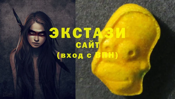 молекула духа Богданович