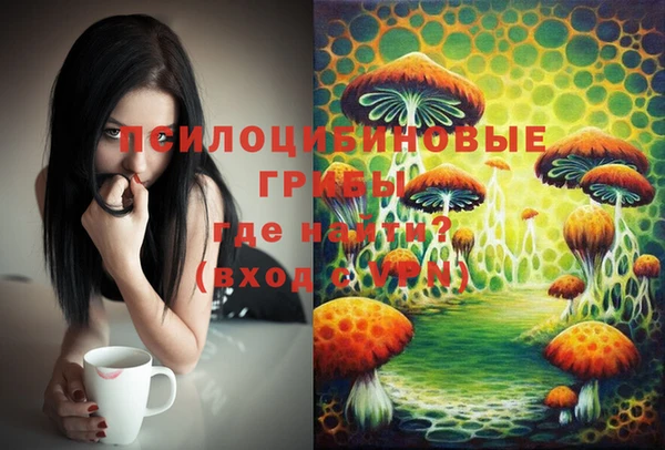 молекула духа Богданович