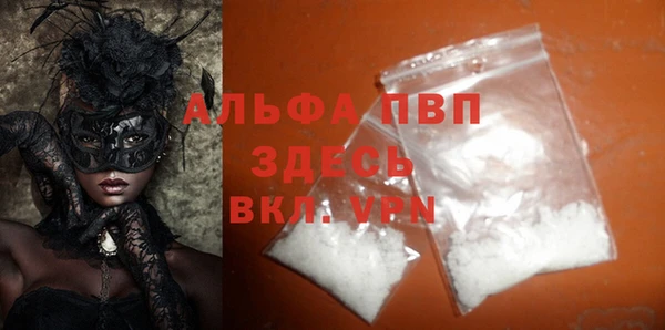 молекула духа Богданович