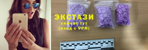 молекула духа Богданович
