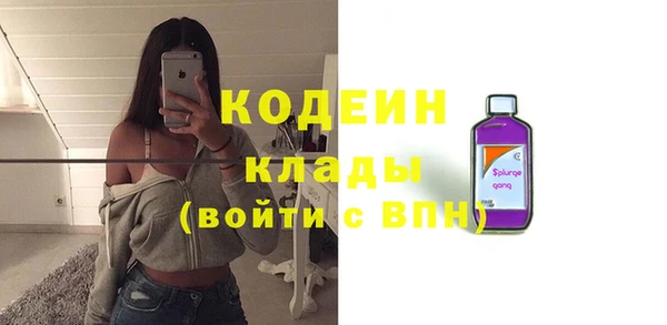 молекула духа Богданович