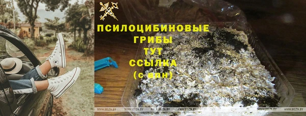 молекула духа Богданович