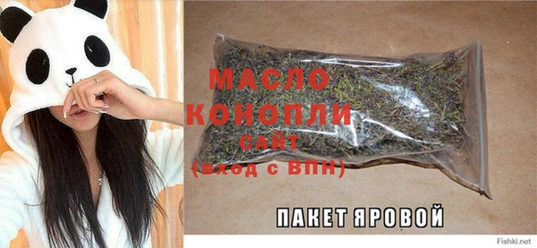 молекула духа Богданович