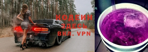 молекула духа Богданович