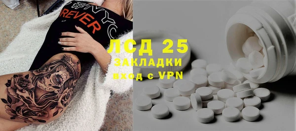 молекула духа Богданович