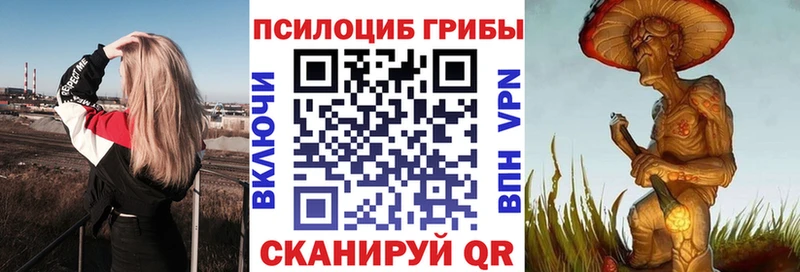 blacksprut сайт  даркнет сайт  Троицк  Галлюциногенные грибы GOLDEN TEACHER 